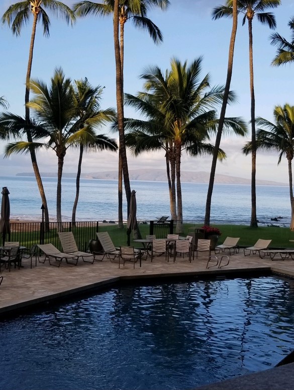 picture of pool in Jamaica