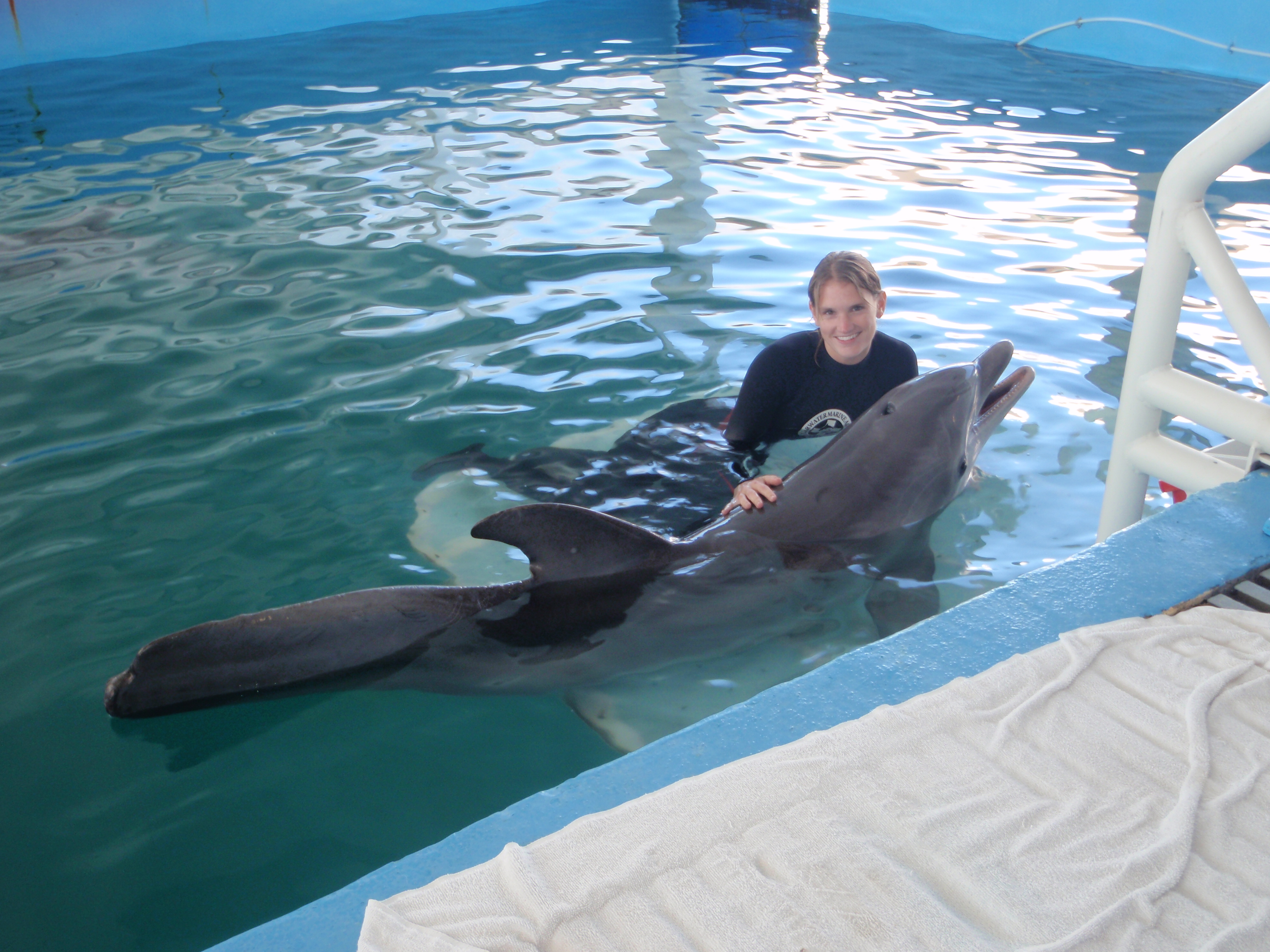 A female trainer in the water with a dolphin