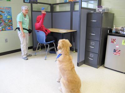 Dog maintaining distance from student